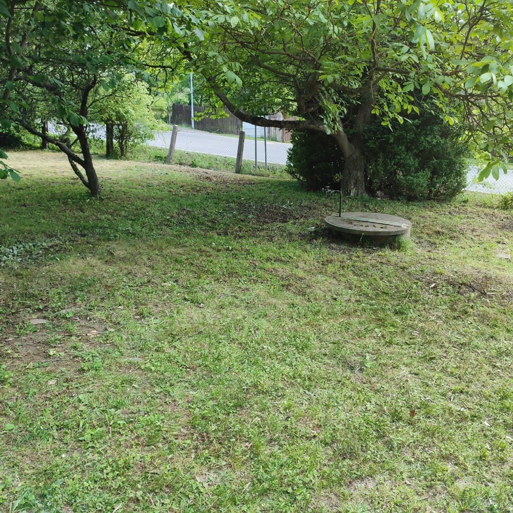 IMG_20220601_180457
